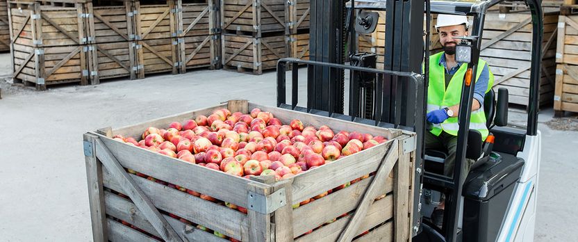 Experto Universitario en Gestión y Supervisión de Procesos en la Industria Alimentaria
