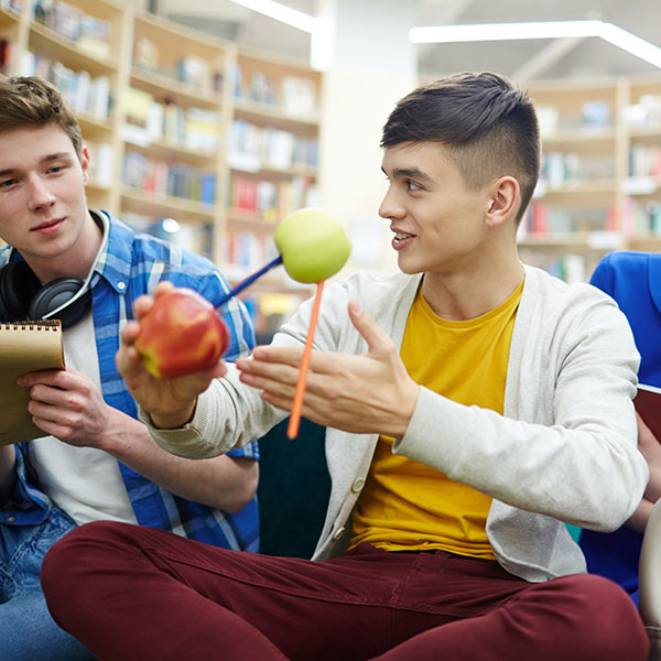 Imagen de Curso en Estrategias de Enseñanza Efectiva en Física y Química