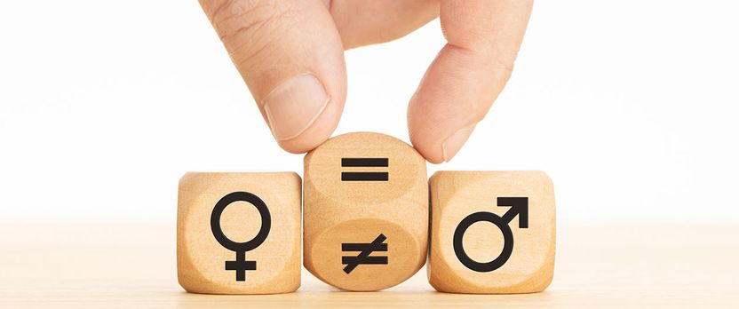 Curso Superior en Técnico Profesional en Igualdad de Género