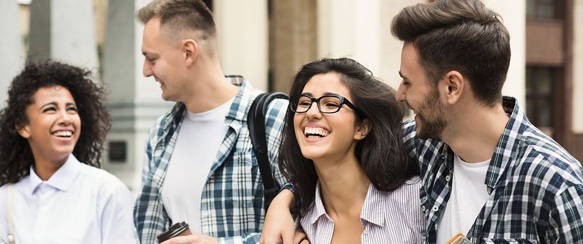 Curso Superior en Técnico en Igualdad de Oportunidades y Conciliación de la Vida Familiar y Laboral