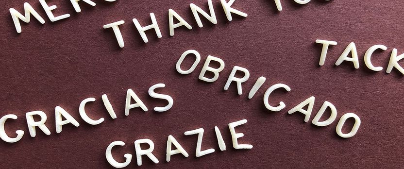 Curso en Desarrollo Lingüístico Temprano en Múltiples Idiomas