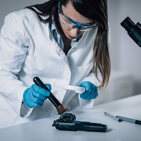 Imagen de Curso Universitario de Especialización en Fundamentos y Aplicaciones de la Toxicología en el Ámbito Forense