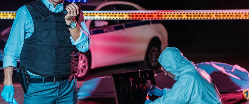 Curso de Desarrollo Profesional en Análisis del Entorno y su Influencia en la Actividad Delictiva