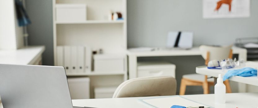 Curso de Desarrollo Profesional en Estrategias y Operativa para la Fundación y Administración de Clínicas Veterinarias