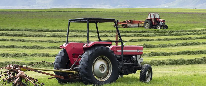 Curso en Gestión Sostenible de Explotaciones Agrícolas Orgánicas