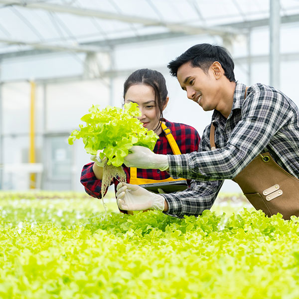 Imagen de Especialista en Asistencia y Tecnologías Avanzadas en Agricultura