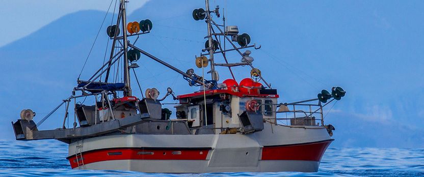 Curso en Gestión de la Actividad Pesquera del Buque