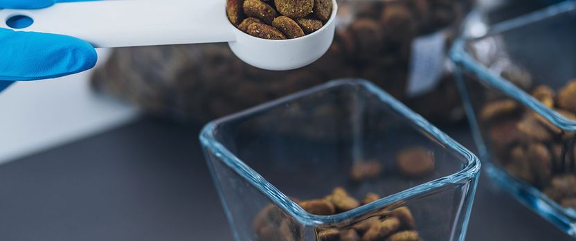 Curso en Elaboración de Piensos, Alimentos Secos y Premezclas