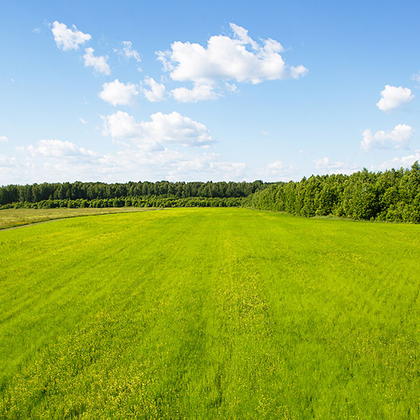 Imagen de Curso en Principios y Prácticas de la Agricultura Ecológica