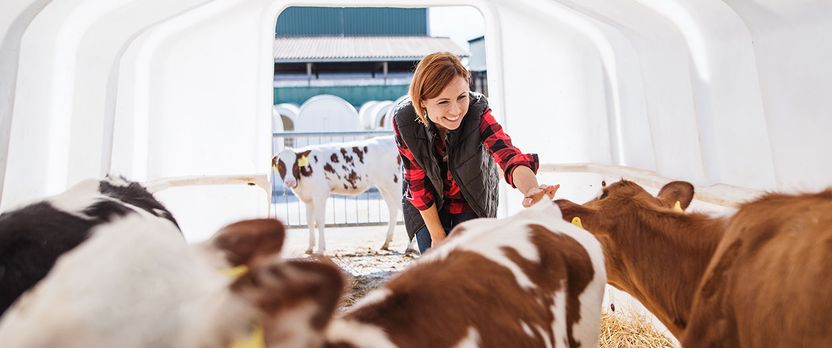 Curso en Producción de Animales y Productos Animales Ecológicos