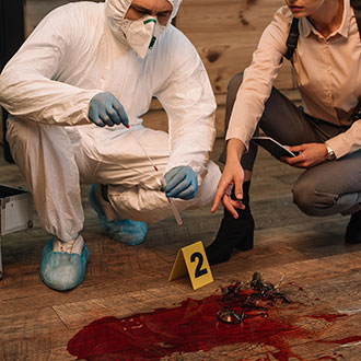 Imagen de Curso de Desarrollo Profesional en Psicología Forense Aplicada: Evaluación, Informe Pericial y Práctica Judicial