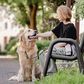 Imagen de Curso de Desarrollo Profesional en Adiestramiento y Vinculación de Perros de Asistencia para Personas con TEA
