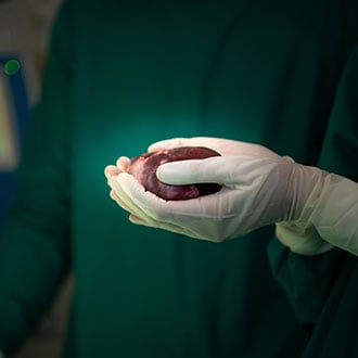 Imagen de Curso de Desarrollo Profesional en Donación y Trasplante de Órganos: Fundamentos, Procesos y Práctica Clínica