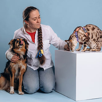 Imagen de Curso en Psicología Canina y Felina: Evaluación y Modificación de Conductas