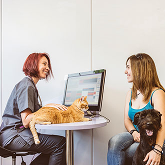 Imagen de Curso de Desarrollo Profesional en Rehabilitación Veterinaria y Técnicas Fisioterapéuticas Aplicadas a Animales