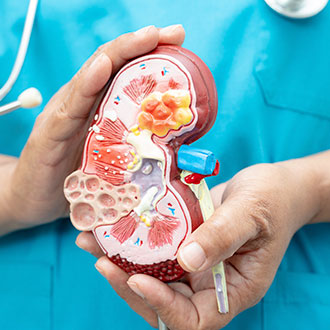 Imagen de Curso de Desarrollo Profesional en Enfermería Aplicada al Proceso de Donación y Trasplante Renal