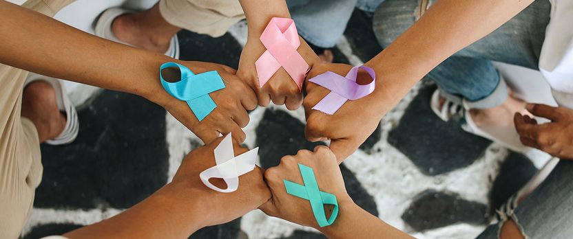 Curso de Desarrollo Profesional en Diseño, Gestión y Evaluación de Proyectos de Intervención Social con Perspectiva de Género