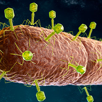 Imagen de Curso de Desarrollo Profesional en Parasitología Clínica y Diagnóstico de Enfermedades Parasitarias