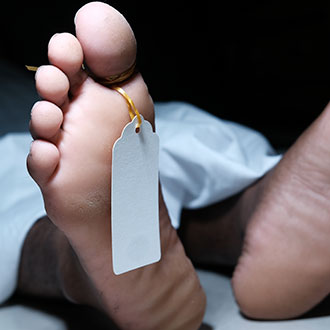 Imagen de Curso de Desarrollo Profesional en Tanatopraxia: Técnicas Profesionales de Conservación y Embalsamamiento