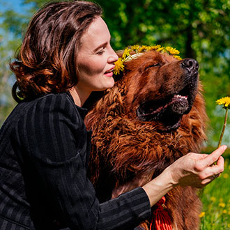 Imagen de Curso de Desarrollo Profesional en Psicología Canina e Inteligencia Emocional para la Gestión del Comportamiento