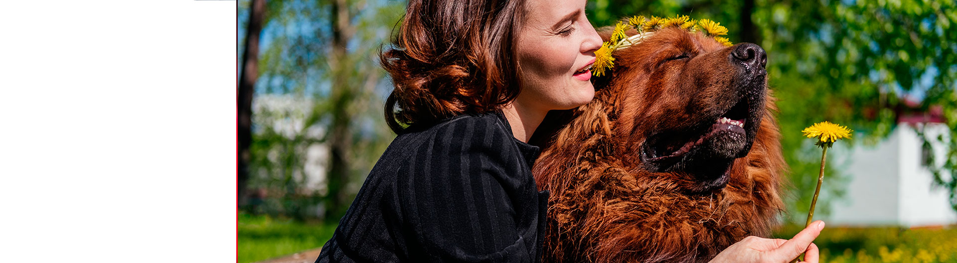 Curso de Desarrollo Profesional en Psicología Canina e Inteligencia Emocional para la Gestión del Comportamiento