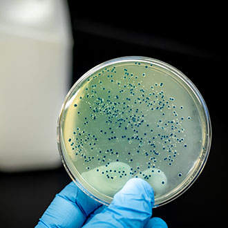 Imagen de Curso en Prevención de Legionelosis y Gestión de Instalaciones de Riesgo